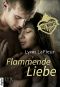 [Hot Nights 03] • Flammende Liebe